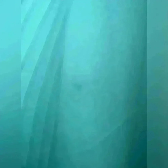 J crew pleated sleeve top academic green - Picture 11 of 11